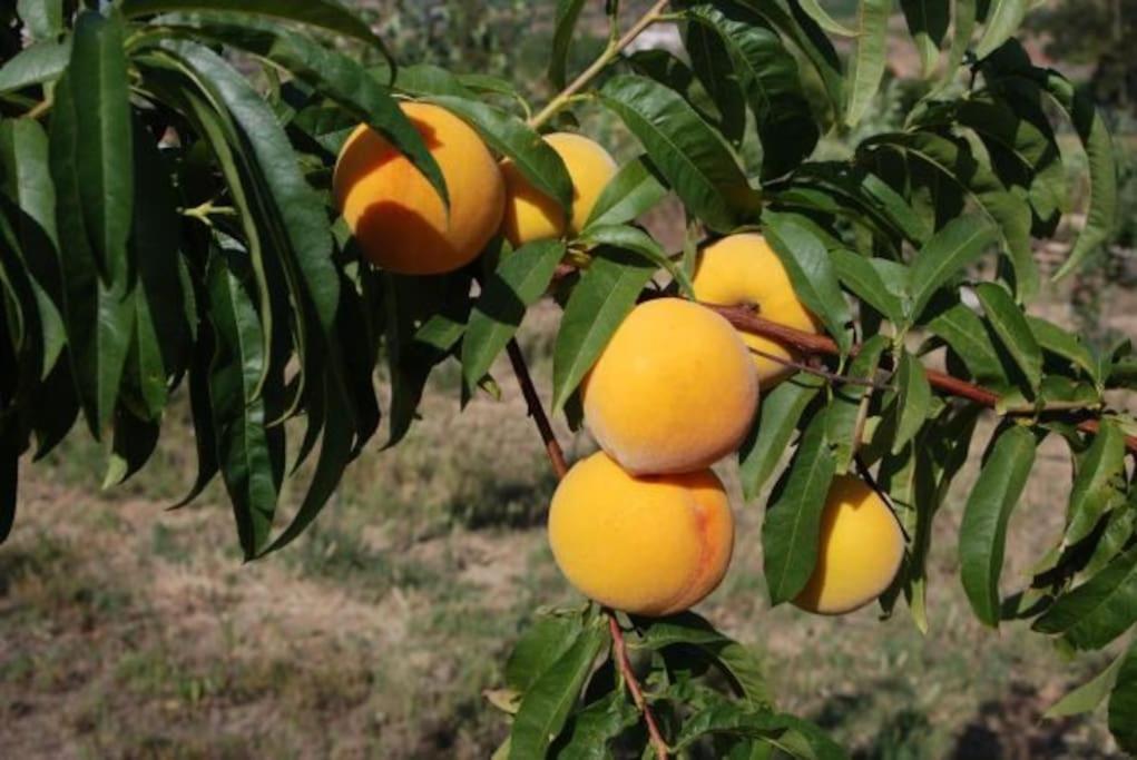 Quinta Da Estima Villa Dous Portos Dış mekan fotoğraf